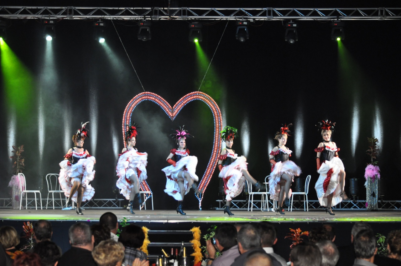 LES DARLING'S - ISSOUDUN (PEPSI) - SAMEDI 19 NOVEMBRE 2011