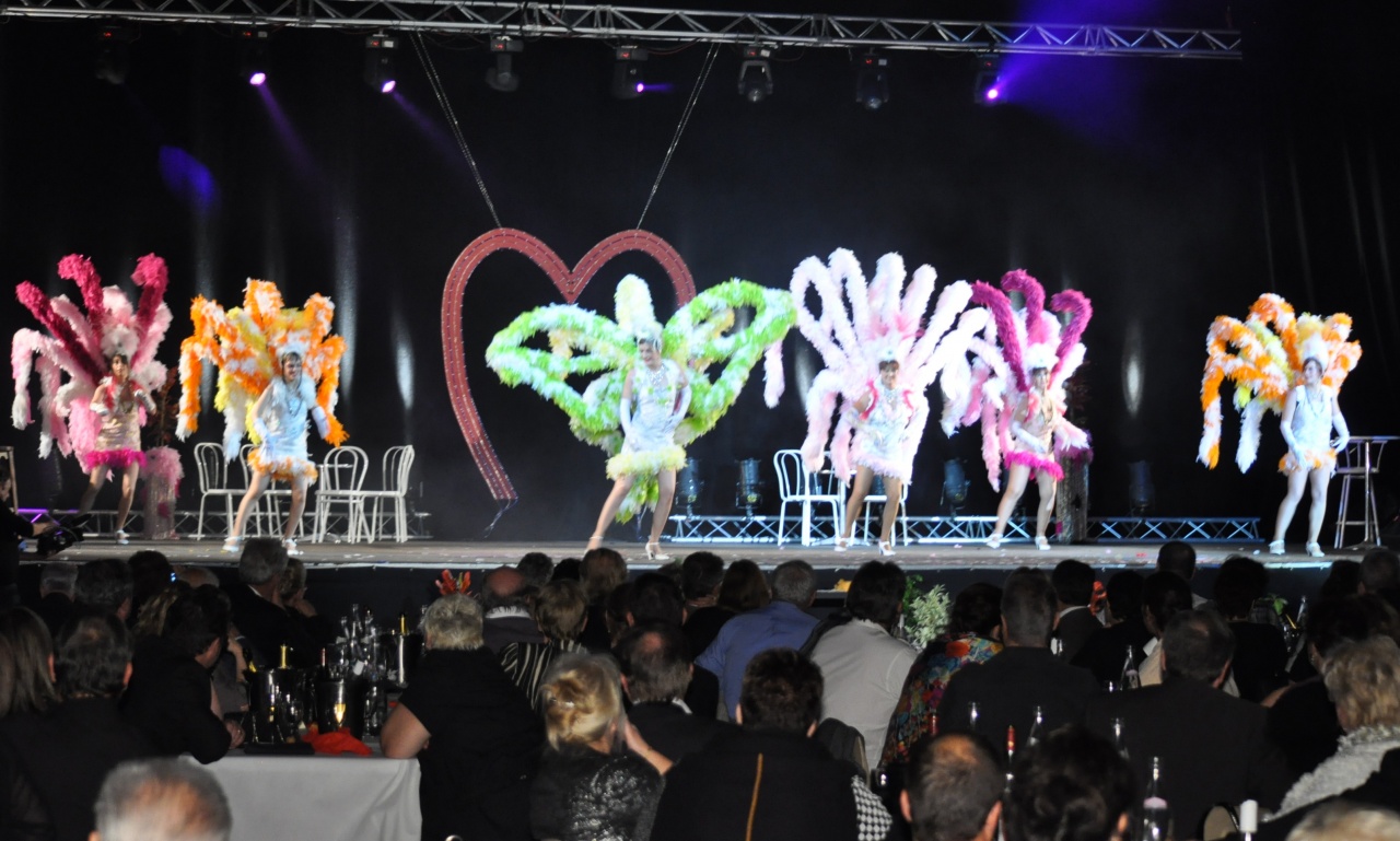 LES DARLING'S - ISSOUDUN (PEPSI) - SAMEDI 19 NOVEMBRE 2011