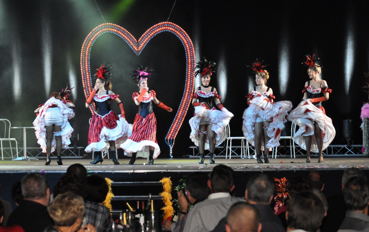 LES DARLING'S - ISSOUDUN (PEPSI) - SAMEDI 19 NOVEMBRE 2011