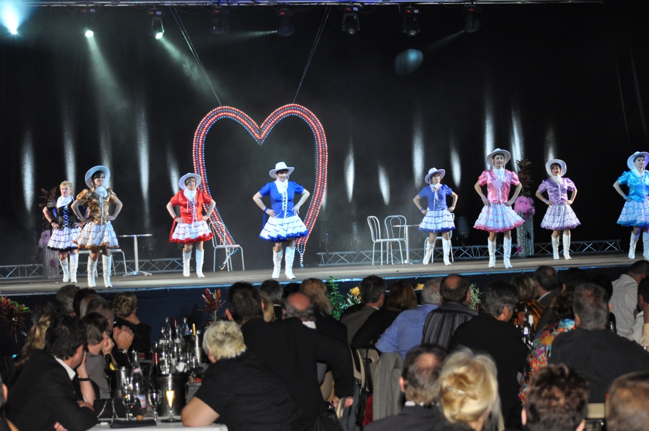 LES DARLING'S - ISSOUDUN (PEPSI) - SAMEDI 19 NOVEMBRE 2011